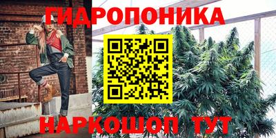 таблы Дубна