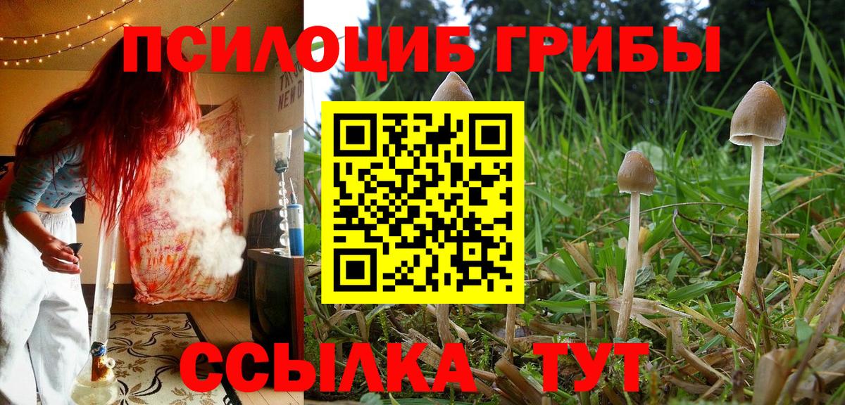 Псилоцибиновые грибы прущие грибы Нижнекамск